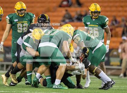 Thumbnail 3 in Polynesian Bowl  photogallery.