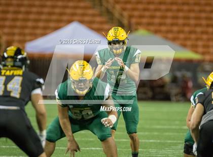 Thumbnail 2 in Polynesian Bowl  photogallery.