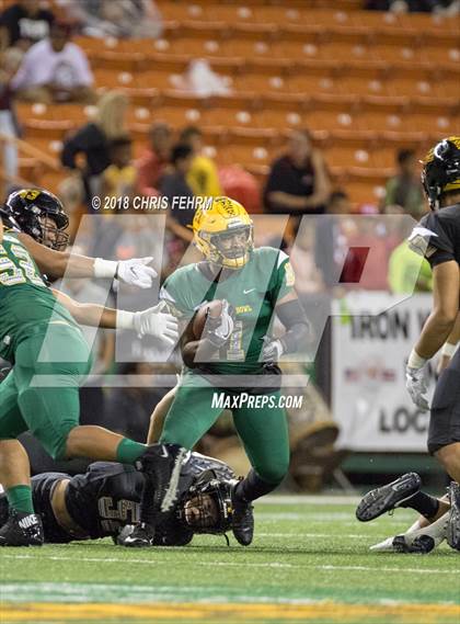 Thumbnail 3 in Polynesian Bowl  photogallery.