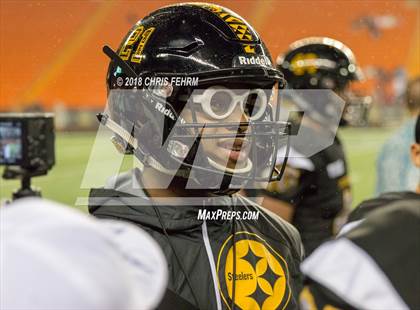 Thumbnail 1 in Polynesian Bowl  photogallery.
