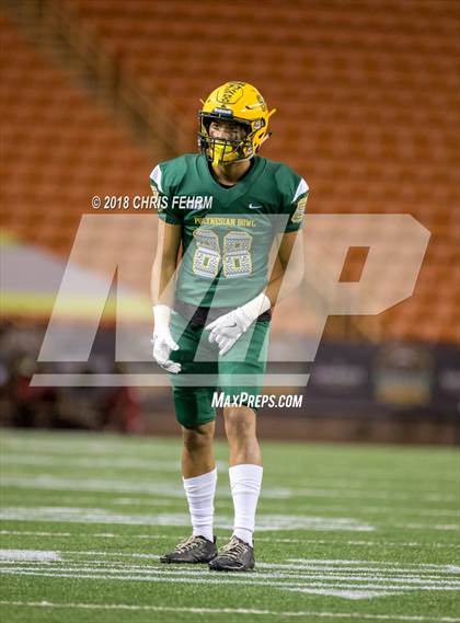 Thumbnail 3 in Polynesian Bowl  photogallery.