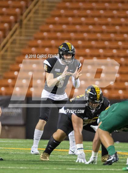 Thumbnail 3 in Polynesian Bowl  photogallery.