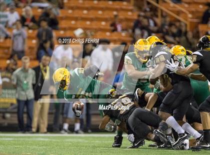 Thumbnail 1 in Polynesian Bowl  photogallery.