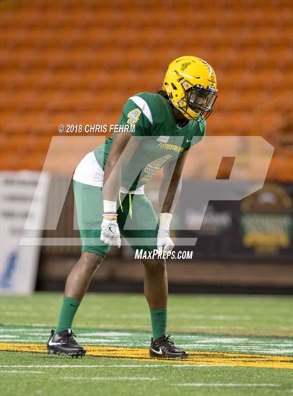 Thumbnail 3 in Polynesian Bowl  photogallery.