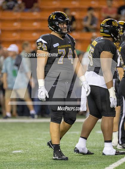 Thumbnail 1 in Polynesian Bowl  photogallery.