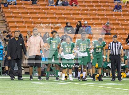 Thumbnail 3 in Polynesian Bowl  photogallery.