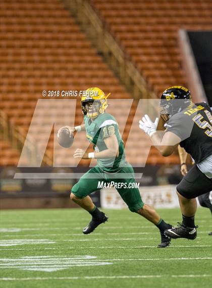 Thumbnail 3 in Polynesian Bowl  photogallery.
