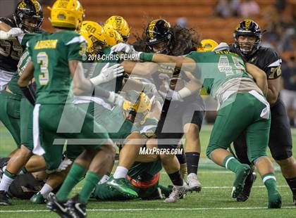 Thumbnail 3 in Polynesian Bowl  photogallery.