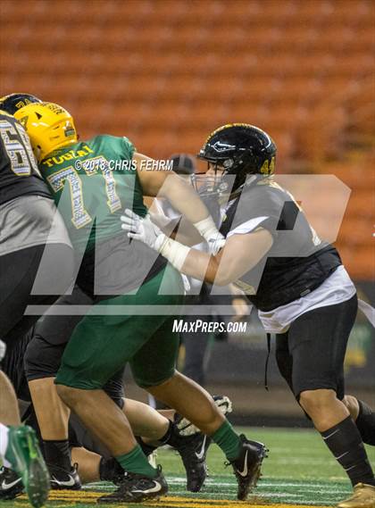 Thumbnail 3 in Polynesian Bowl  photogallery.