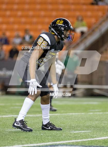 Thumbnail 3 in Polynesian Bowl  photogallery.