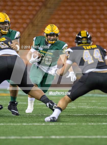Thumbnail 3 in Polynesian Bowl  photogallery.