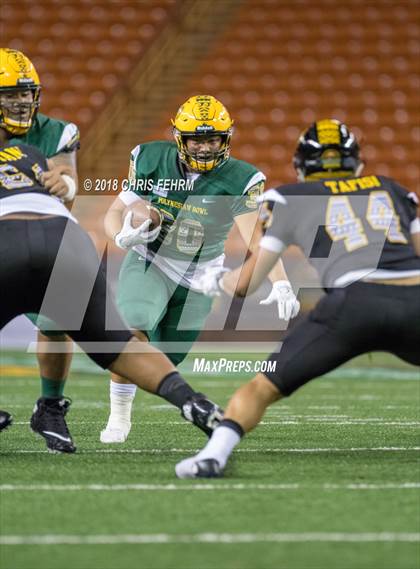 Thumbnail 3 in Polynesian Bowl  photogallery.