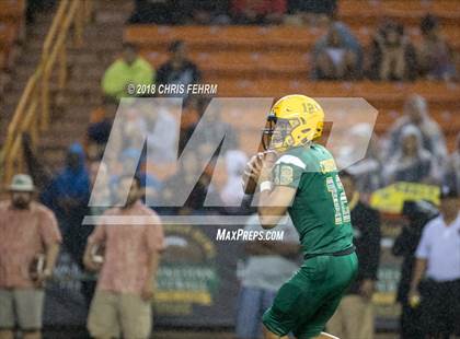 Thumbnail 2 in Polynesian Bowl  photogallery.