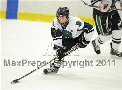 Thumbnail 3 in Kennedy/Putnam Valley @ Brewster photogallery.