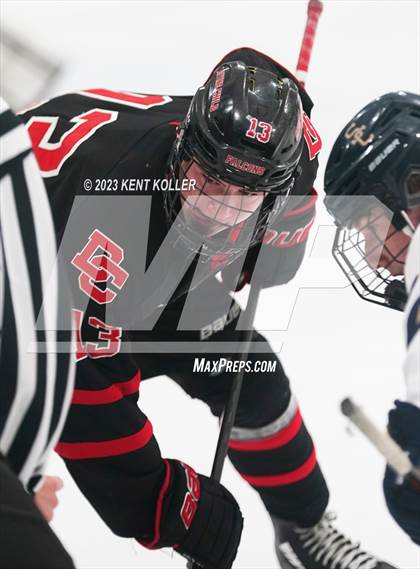 Thumbnail 2 in Divine Child @ Stoney Creek photogallery.
