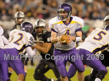 Thumbnail 1 in Mesa vs. Hamilton (AIA 5A-1 Final) photogallery.