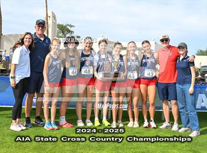 Thumbnail 3 in AIA D-III Girls State Championship (Awards) photogallery.