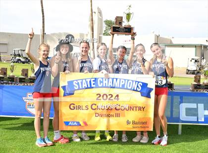Thumbnail 3 in AIA D-III Girls State Championship (Awards) photogallery.