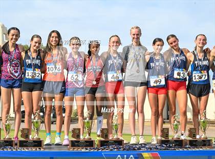 Thumbnail 3 in AIA D-III Girls State Championship (Awards) photogallery.