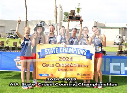 Thumbnail 1 in AIA D-III Girls State Championship (Awards) photogallery.