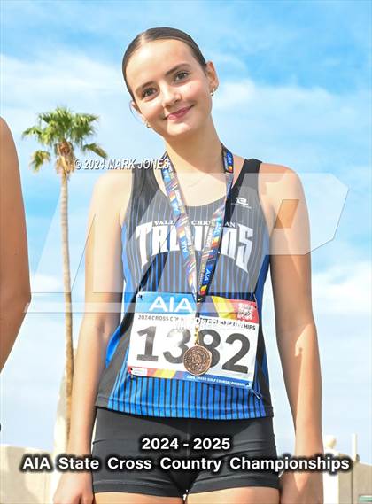Thumbnail 1 in AIA D-III Girls State Championship (Awards) photogallery.