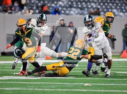 Thumbnail 2 in Red Bank Catholic vs DePaul (NJSIAA Non-Public B Final) photogallery.