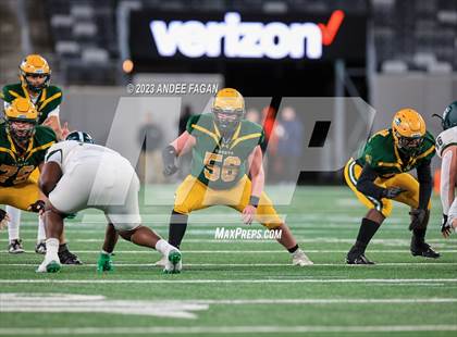 Thumbnail 3 in Red Bank Catholic vs DePaul (NJSIAA Non-Public B Final) photogallery.