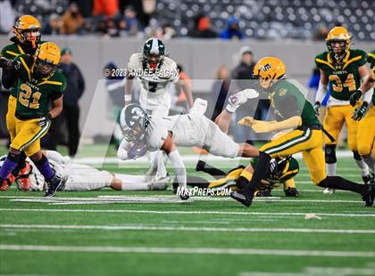 Thumbnail 3 in Red Bank Catholic vs DePaul (NJSIAA Non-Public B Final) photogallery.