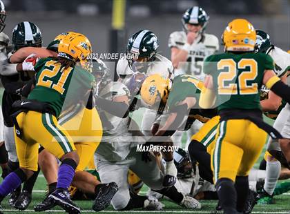 Thumbnail 1 in Red Bank Catholic vs DePaul (NJSIAA Non-Public B Final) photogallery.