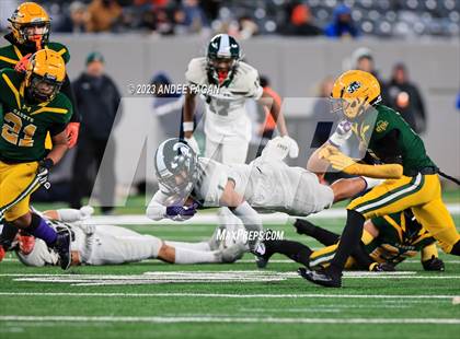 Thumbnail 1 in Red Bank Catholic vs DePaul (NJSIAA Non-Public B Final) photogallery.