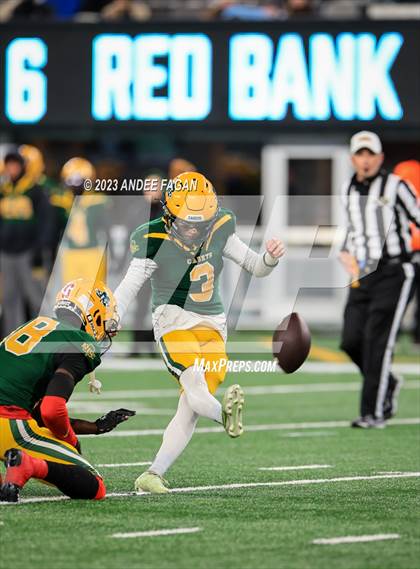 Thumbnail 2 in Red Bank Catholic vs DePaul (NJSIAA Non-Public B Final) photogallery.