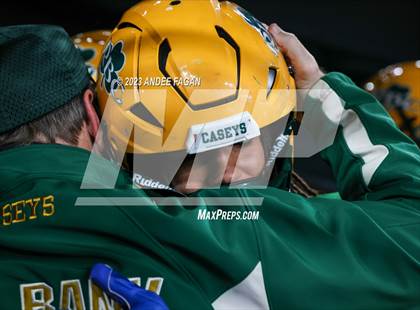 Thumbnail 1 in Red Bank Catholic vs DePaul (NJSIAA Non-Public B Final) photogallery.