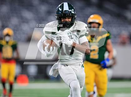 Thumbnail 1 in Red Bank Catholic vs DePaul (NJSIAA Non-Public B Final) photogallery.