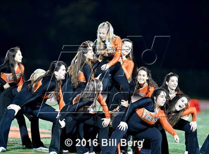 Thumbnail 1 in Ludlowe @ Ridgefield photogallery.