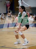 Photo from the gallery "Los Lunas vs. Pojoaque Valley"