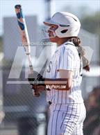 Photo from the gallery "Red Mountain @ Basha"