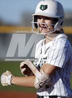 Photo from the gallery "Red Mountain @ Basha"