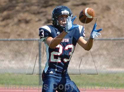 Thumbnail 3 in Stafford/East Windsor @ Avon photogallery.