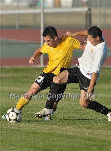 null - Photo 21