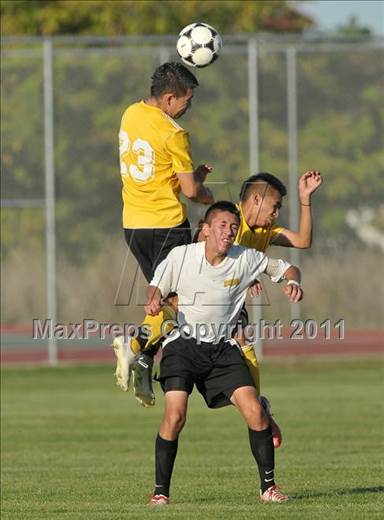 null - Photo 11
