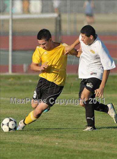 null - Photo 31