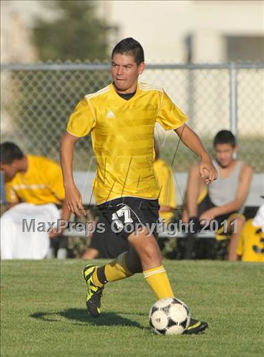 null - Photo 11