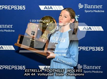 Thumbnail 1 in Estrella Foothills vs. Mica Mountain (AIA 4A Final - Awards) photogallery.