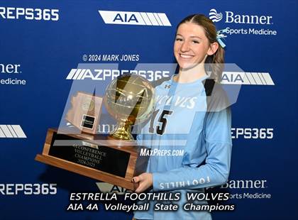 Thumbnail 2 in Estrella Foothills vs. Mica Mountain (AIA 4A Final - Awards) photogallery.