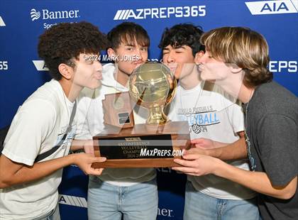 Thumbnail 1 in Estrella Foothills vs. Mica Mountain (AIA 4A Final - Awards) photogallery.