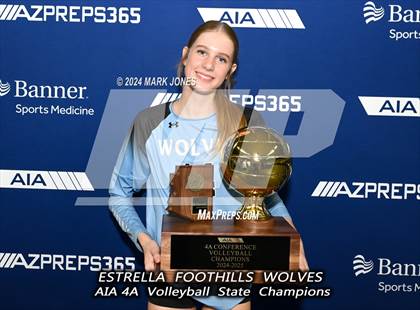 Thumbnail 3 in Estrella Foothills vs. Mica Mountain (AIA 4A Final - Awards) photogallery.
