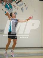 Photo from the gallery "Great Bridge @ Hickory"
