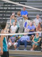 Photo from the gallery "Great Bridge @ Hickory"