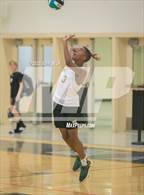 Photo from the gallery "Great Bridge @ Hickory"