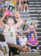 Photo from the gallery "Great Bridge @ Hickory"